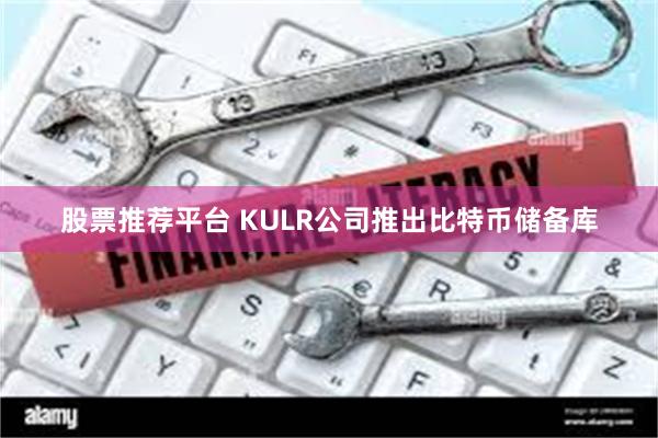 股票推荐平台 KULR公司推出比特币储备库