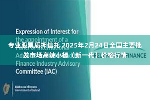 专业股票质押信托 2025年2月24日全国主要批发市场高辣小椒（新一代）价格行情