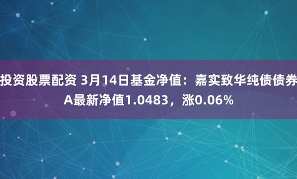 投资股票配资 3月14日基金净值：嘉实致华纯债债券A最新净值1.0483，涨0.06%